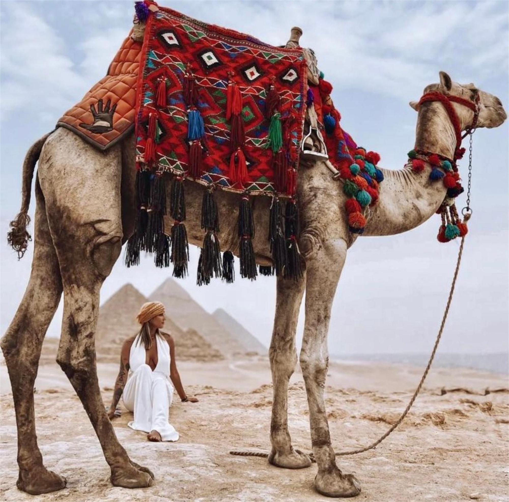 Pyramids Middle Eastern Family View Hotel 4*